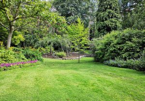 Optimiser l'expérience du jardin à Grébault-Mesnil